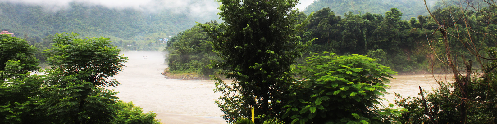 Milli Harmain Travel & Tours